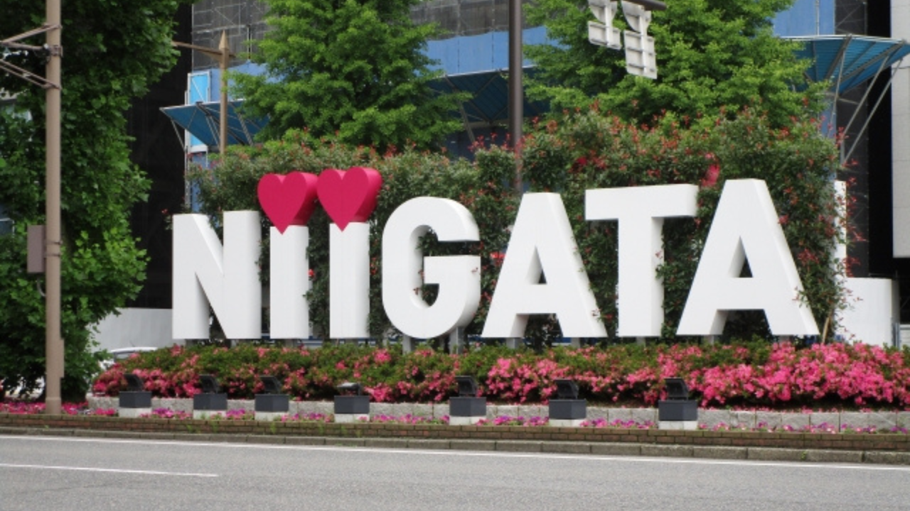 新潟でおすすめの英会話カフェ6選